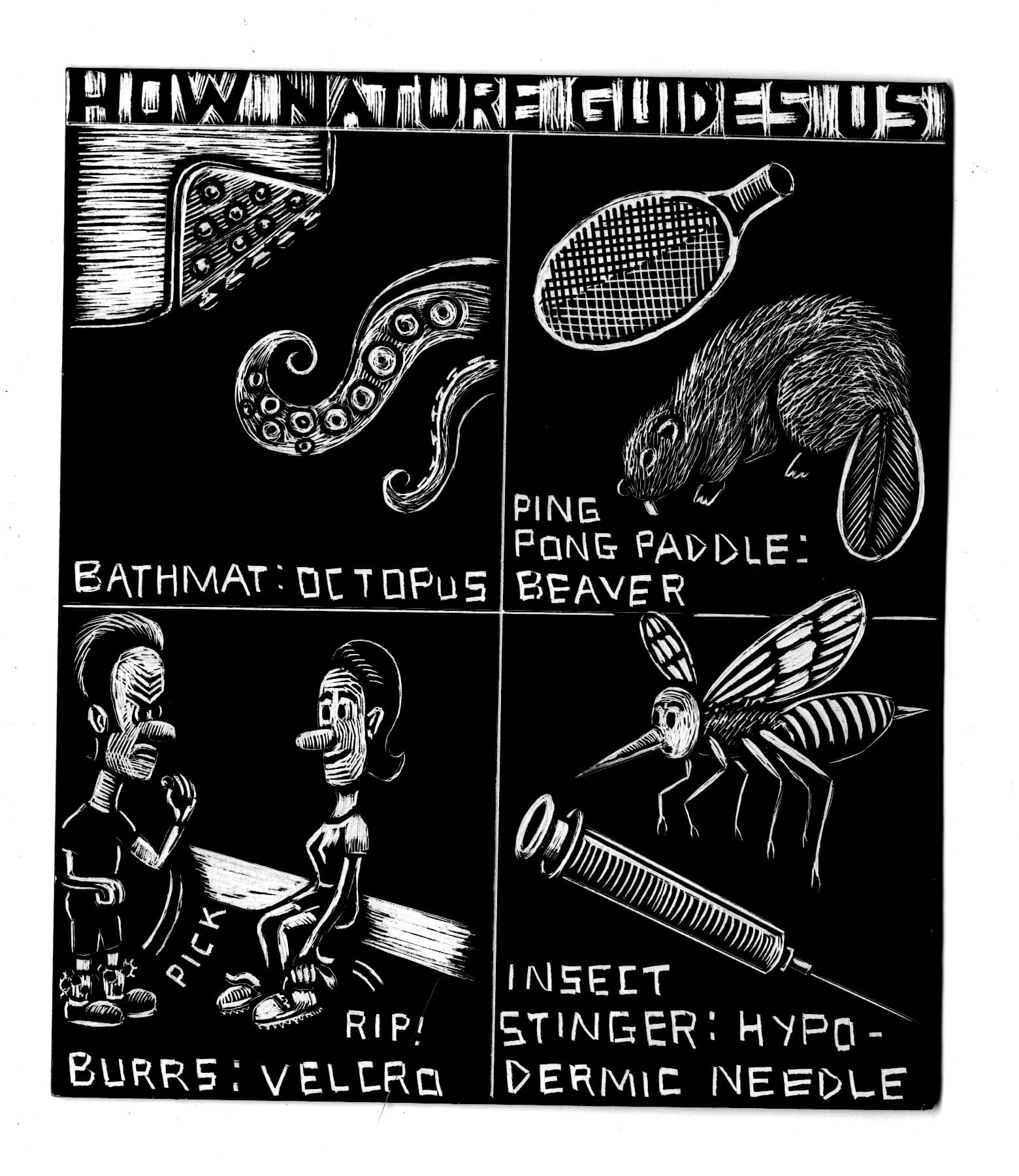 nature guides